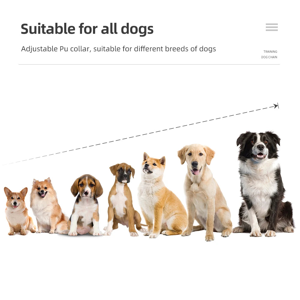 Dog Electric Training Collar Rechargeable Anti Barking Shock Vibration Collar Waterproof Trainer for All Dogs Pet with Clicker
